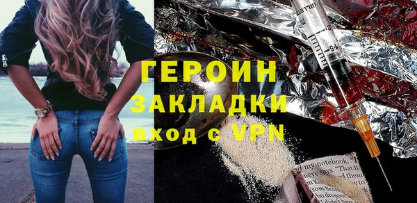 сатива Каменка