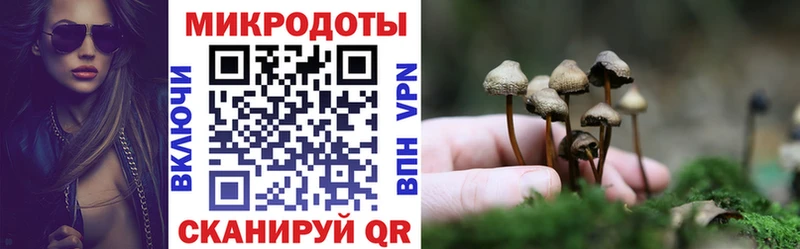 Купить  Зубцов  Галлюциногенные грибы GOLDEN TEACHER 